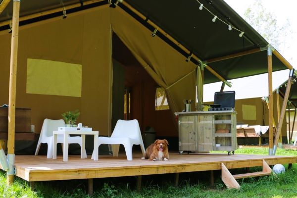 Auf den Campingfeldern und den Safarizelten sind Hunde gestattet